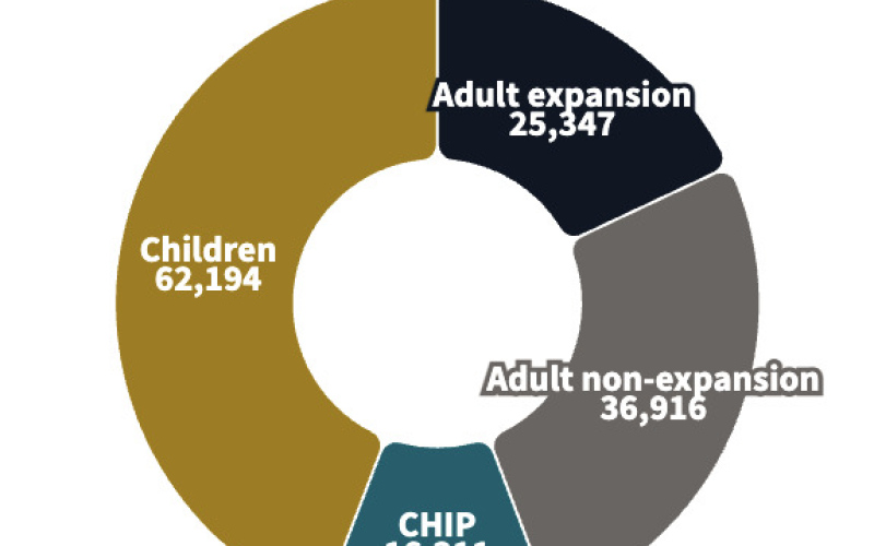 Medicaid enrollment ion South Dakota as of July 2024