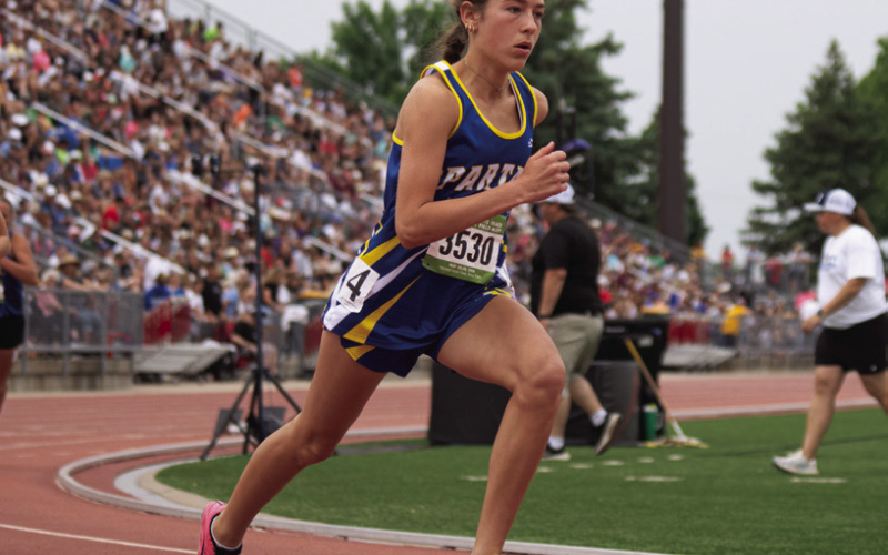 State Success: Spartans Earn Four Medals, Rewrite Record Book