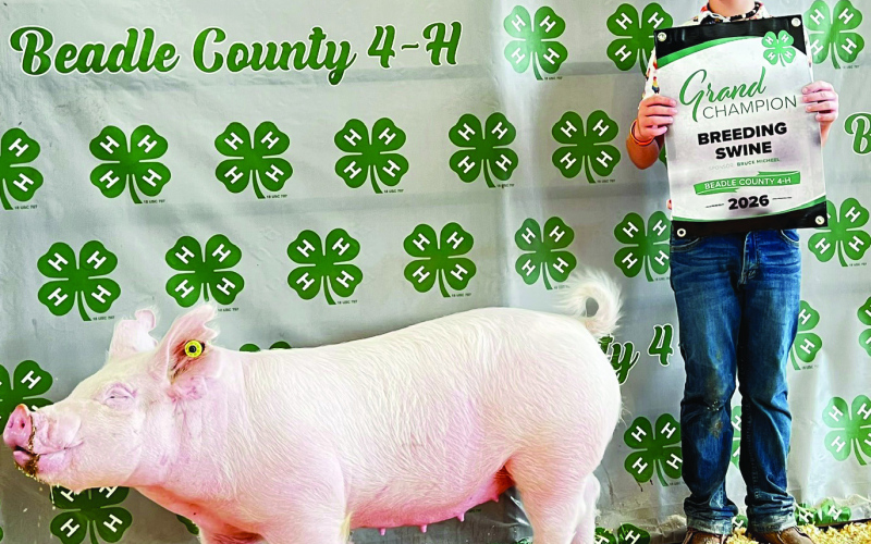 Wolsey’s Cardinal Clovers 4-H Club Shines at Achievement Days