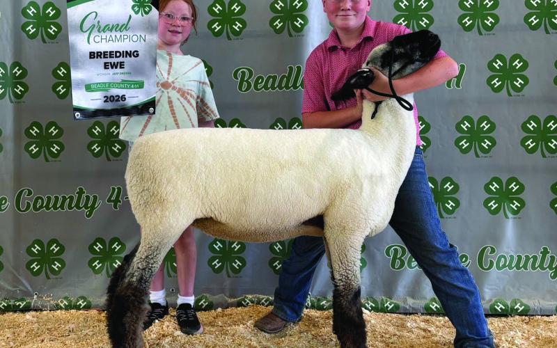 Wolsey’s Cardinal Clovers 4-H Club Shines at Achievement Days
