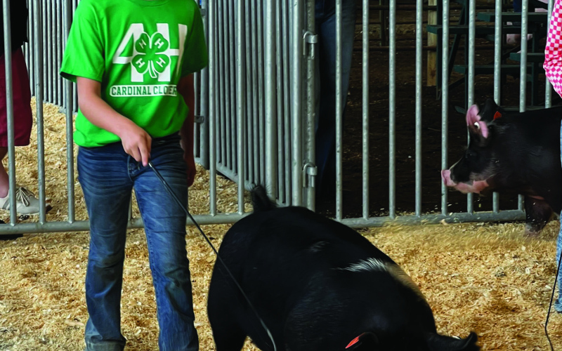 Wolsey’s Cardinal Clovers 4-H Club Shines at Achievement Days