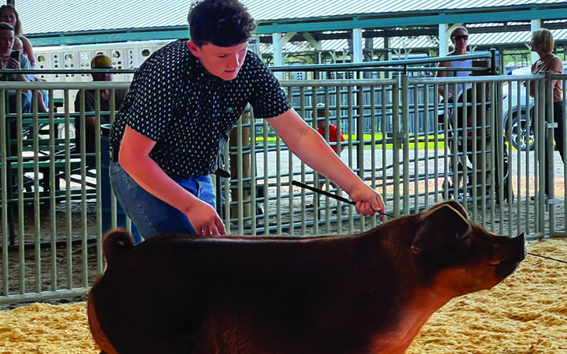 Wolsey’s Cardinal Clovers 4-H Club Shines at Achievement Days