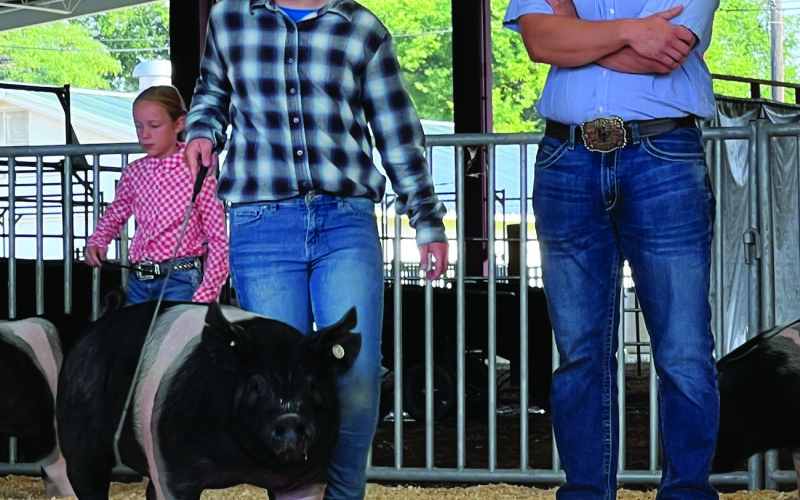 Wolsey’s Cardinal Clovers 4-H Club Shines at Achievement Days
