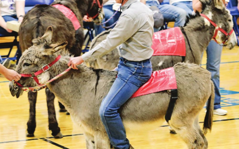 FFA-Sponsored Donkey Basketball Raises Funds for Food Pantry, Jerauld Co. Ambulance