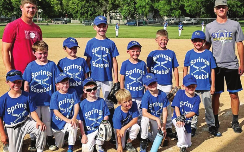 Little League baseball players, coaches celebrate successful summer season