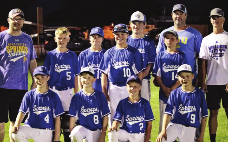 Little League baseball players, coaches celebrate successful summer season