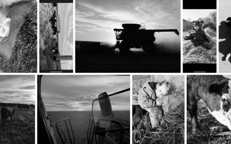 Celebrating Life on the Family Farm and Ranch Photo Contest