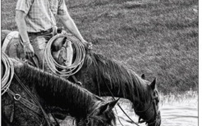 The photo at above was taken by Samantha Swanson of Highmore. Swanson was the 2022 contest winner in the Working on the Farm/Ranch division of the South Dakota Farmers Union photo contest.