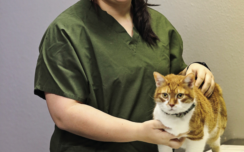 With the goal of addressing important community concerns when it comes to the local domestic and feral cat population, Wessington Springs High School senior, Harlee Heim (pictured above), is hosting a discounted cat neuter and spay clinic on Monday, January 30, 2023 at the Prairie View Vet Clinic in Wessington Springs.