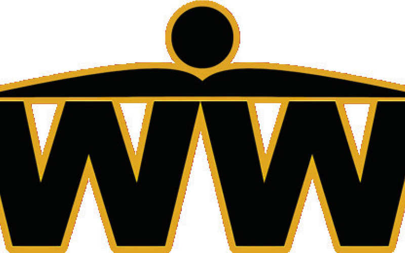 Lady Warbirds Split Pair of Games