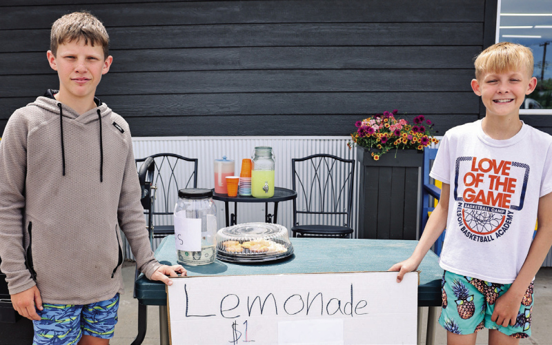 Scenes of Summer: Lemonade Season Begins