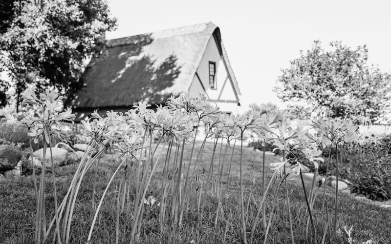 Garden Party celebrates a century of Shakespeare Garden history