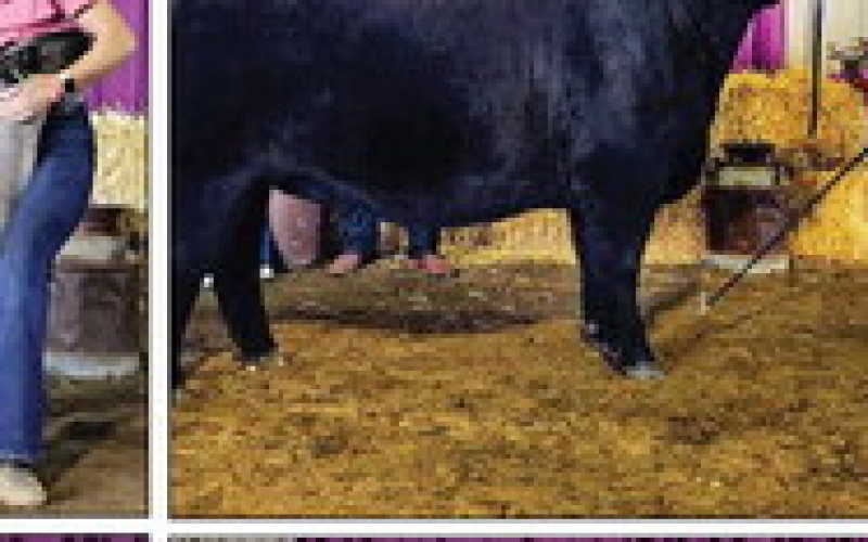LOCAL YOUTH SHINE AT “BEST OF THE WEST”