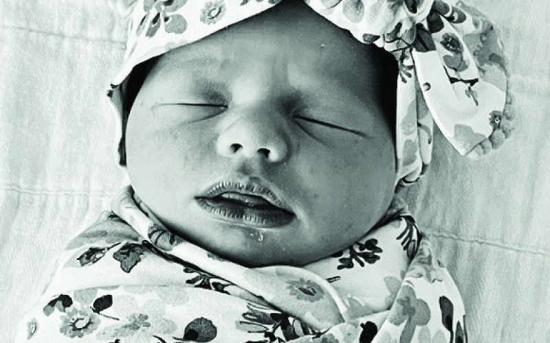 Birth Announcement