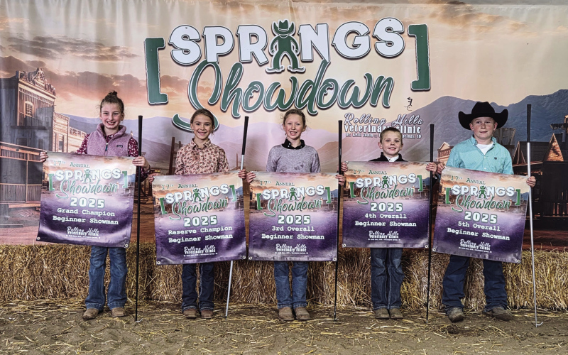 4-H Beef Project Enthusiasts Gather for the 17th Annual Springs Showdown Calf Show