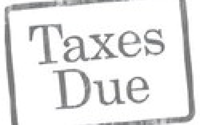 Alt Text for Image