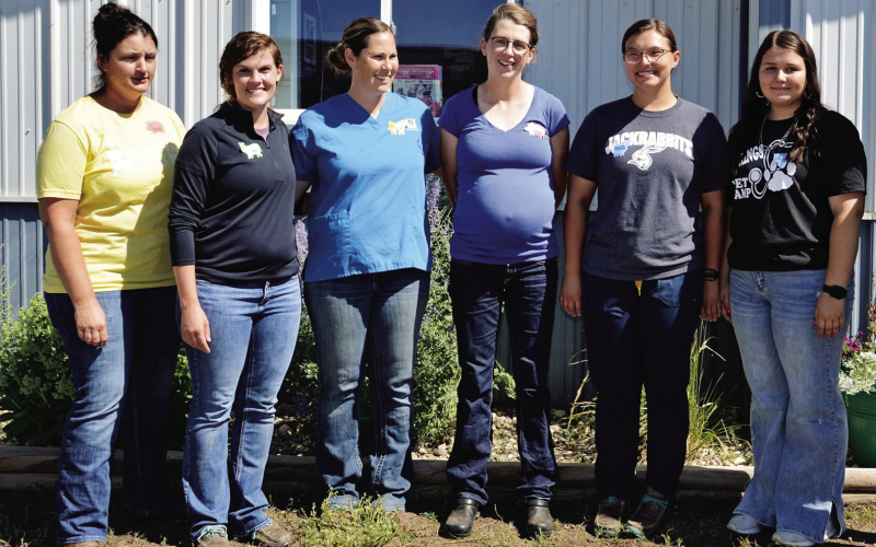 The Prairie View Vet team is show above, left to right: Jane Barber, Office Manager, Dr. Casey Duxbury, Michela Plooster, Vet Tech, Dr. Katie Hunsucker-Brown, Amanda Wiek, Vet Assistant and Harlee Heim.