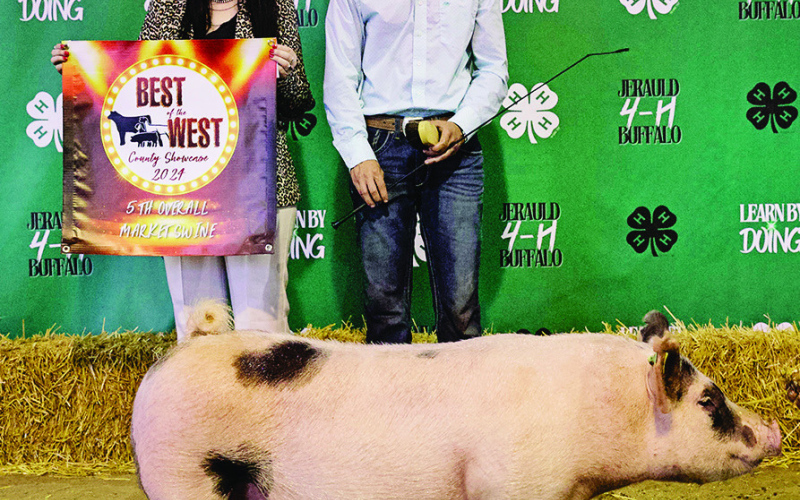 Blake Miller, 5th Place Market Swine.