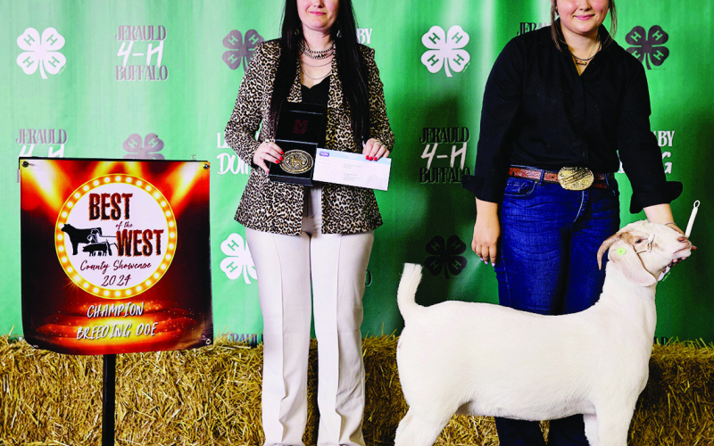 Harlee Heim, Champion Breeding Doe.
