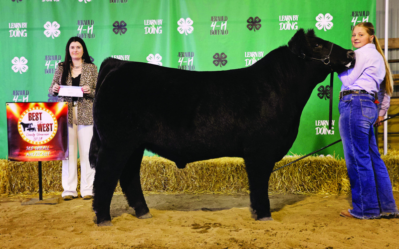 Makynna Heim, 3rd Place Market Beef.