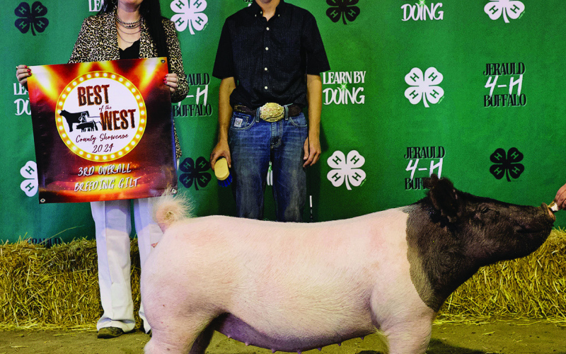 Teagan Scheel, 3rd Place Breeding Gilt.