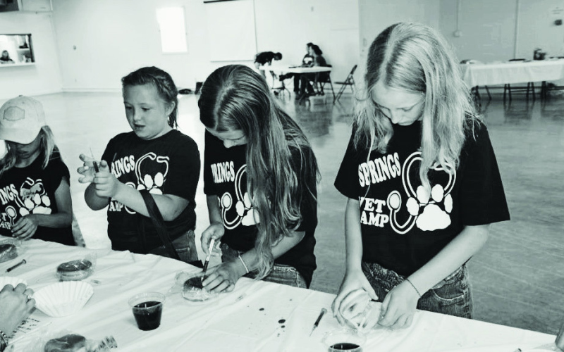 Heim Hosts 4-H Vet Science Day Camp as part of Teen Leadership Academy