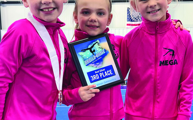 Local gymnasts tumble toward success at state competition