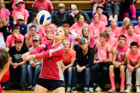 A lively student section decked out in pink can be seen behind Raylee Fagerhaug as she gets under the ball during Volley for a Cure last Thursday. 
