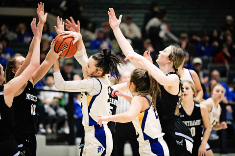 Carissa Scheel during Region play vs. TDA at the Corn Palace in Mitchell. 