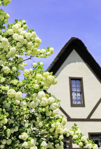 Poetry Reading and Book Signing at Shakespeare Garden