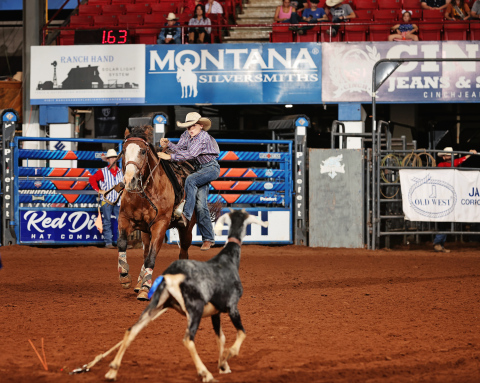 Lawson Fagerhaug during goat tail untying action at the NLBRA National Finals Rodeo. PHOTO COURTESY BY PHIFER/RODEO BUM