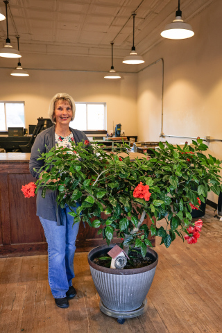 Delia Atkinson, True Dakotan Office Manger stands alongside the hibiscus tree she nurtured for nearly 10 years.