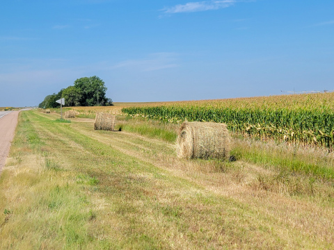 Deadline for Hay Removal from Highway Ditches is Oct. 1