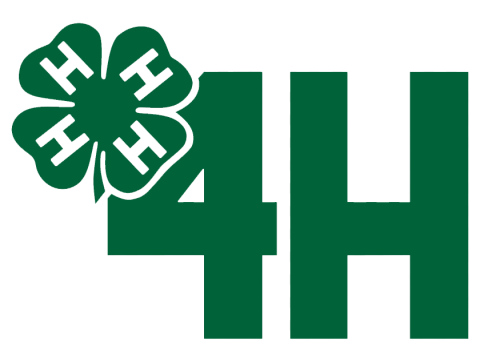 Jerauld-Buffalo 4-H Members Among 2024 Premier Exhibitor Award Recipients