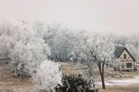 Fleeting winter beauty across the region