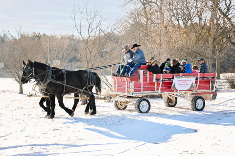 Out of town visitors and local families lined up throughout the afternoon for a chance to ride around the Wessington Springs City Park in style. Phil Wipf and AJ Karsky led the wagon team of Prince and Chet, who had a very busy afternoon along the trails. 