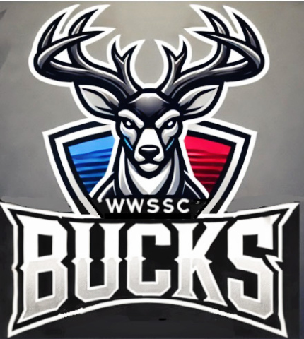 Goodbye Blackhawks, Let’s Go Bucks