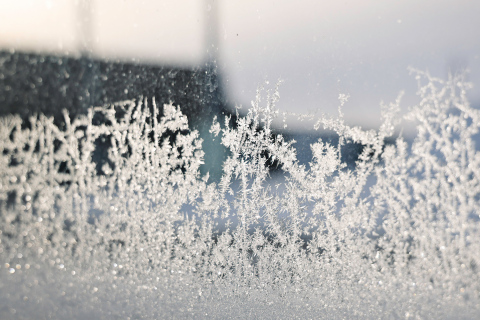 KRISTI HINE / TRUE DAKOTAN Frost covered the windows of the True Dakotan garage Tuesday, February 18, 2025 during an Extreme Cold Warning issued by the National Weather Service.