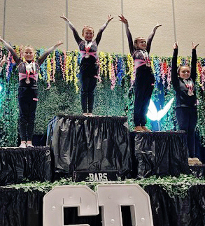 Local gymnast soars at state competition