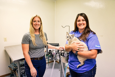 KRISTI HINE / TRUE DAKOTAN Veterinarian Dr. Megan Tuschen and Vet Tech Morgen Schroeder are shown with their feline friend, Marshmallow, at Prairie View Vet Clinic on Monday, July 1, 2025. The vet clinic recently announced an upcoming, low-cost, cat spay and neuter clinic scheduled for July 25, 2025. The clinic asks the public to call ahead to register at 605-539-0009.
