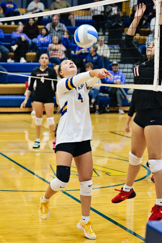  Lady Spartan Logan Mohling. The Lady Spartans swept Crow Creek last Thursday during volleyball action in front of a home crowd.