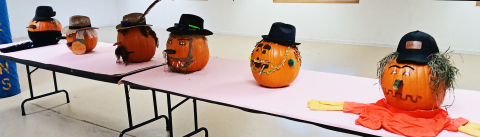 Pumpkin creativity shines at Spring Valley Colony School contest