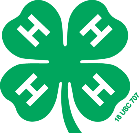 Jerauld-Buffalo 4-H Hosts Silent Auction Fundraiser