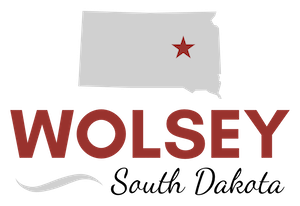 State Water Plan Application Advances Wolsey Sewer Project Planning