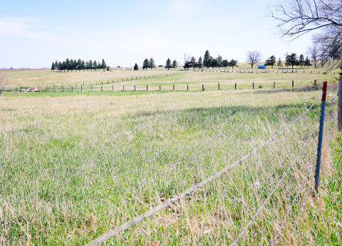 A portion of the proposed site for a cryptocurrency mining facility north of Prospect Hill Cemetery is shown. The project will not move forward after power capacity limitations were identified.