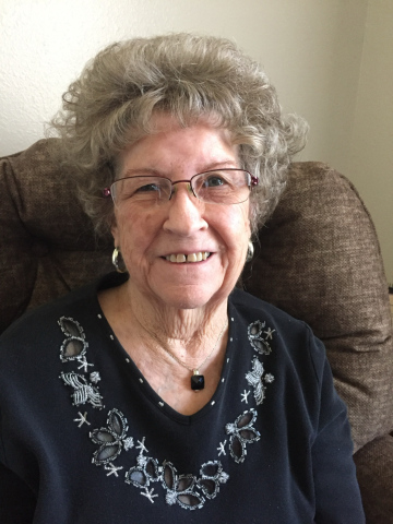 JOYCE ARLENE CALKINS