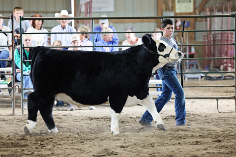 4-Hers Shine During  Jerauld-Buffalo Achievement Days  Jerauld-Buffalo 4-Hers like Dawson Bultsma, pictured, showed their very best at last week’s Achievement Days.