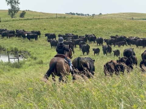(PHOTO COURTESY SDFU)