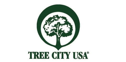 Wessington Springs Designated as a Tree City USA