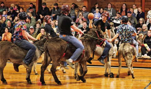 Donkeyball Delivers for a Cause